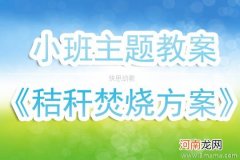 大班主题活动教案：稻草人教案