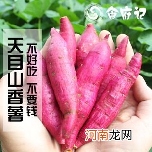 地瓜是碱性还是酸性 生男孩的3种碱性食物