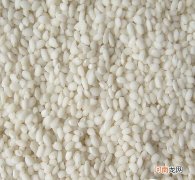 江米是什么 江米和糯米是一个米吗