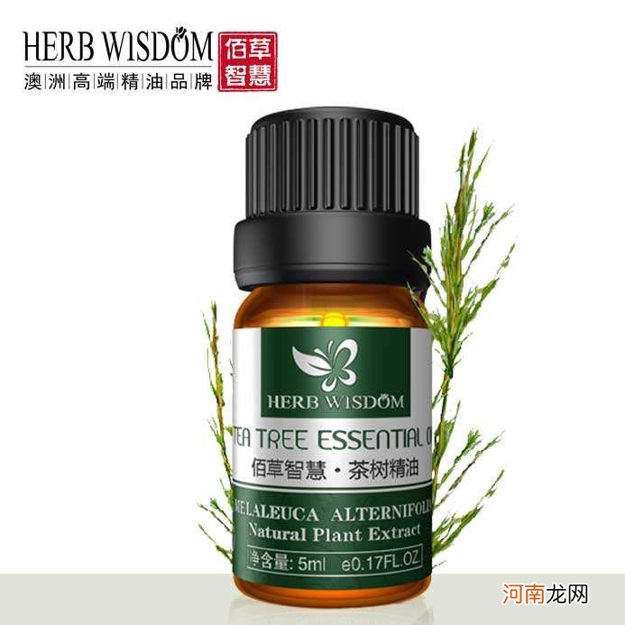 茶树精油使用方法 单方茶树精油怎么使用