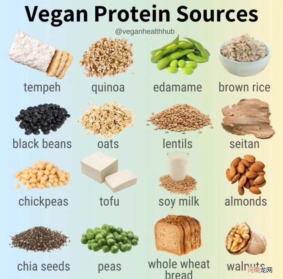 关于植物蛋白和动物蛋白的区别的信息