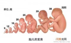 胎儿腹围超标能顺产吗