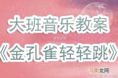 大班音乐活动池边的小孔雀教案反思