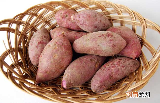 吃红薯的好处，它具有什么功效和作用？