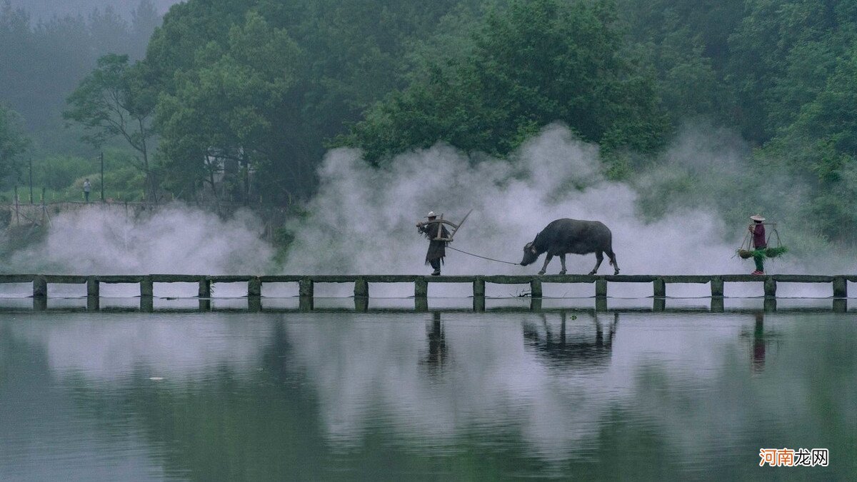 送你四首关于牛的古诗词 有关牛的古诗四句诗