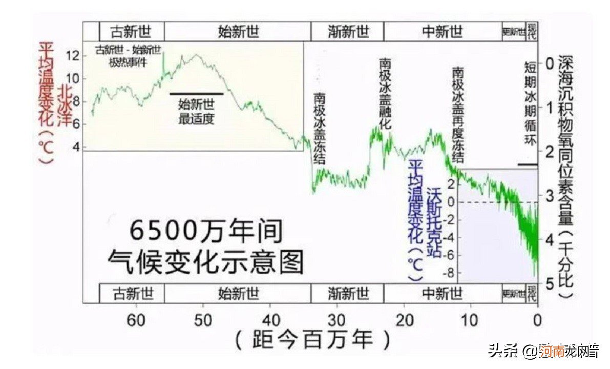 世界上最大的蛇是哪种 世界上最大的蛇有哪种