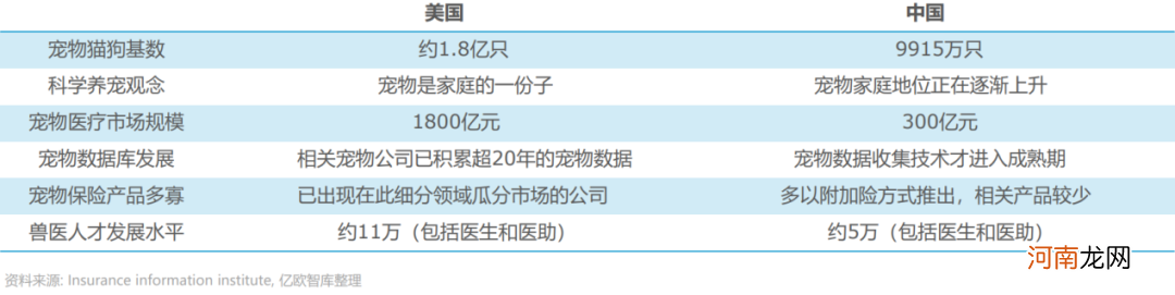 生病动辄花费上千 养宠物堪比养娃!给猫猫狗狗买保险 能拯救铲屎官们的钱包吗?
