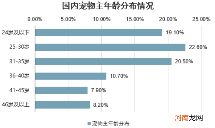 生病动辄花费上千 养宠物堪比养娃!给猫猫狗狗买保险 能拯救铲屎官们的钱包吗?