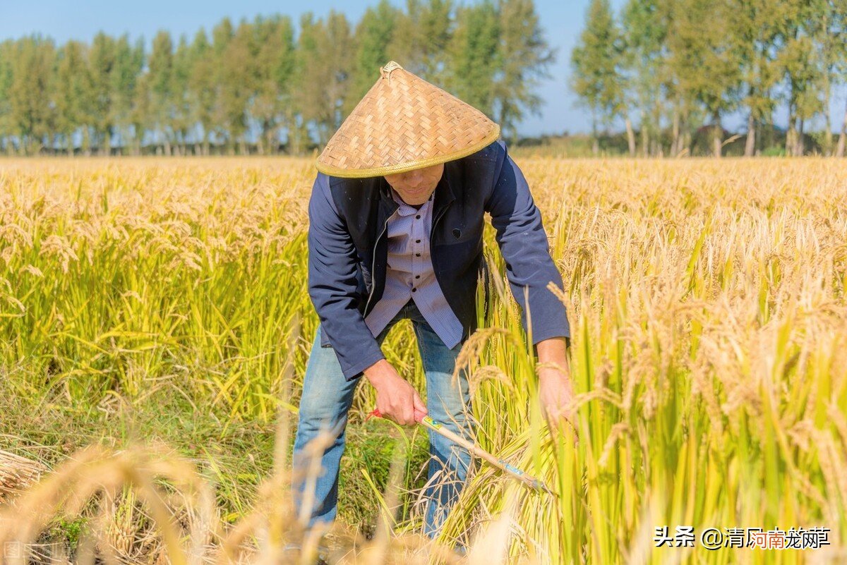 男人真的省钱起来就没女人什么事 女人千万不要为男人省钱