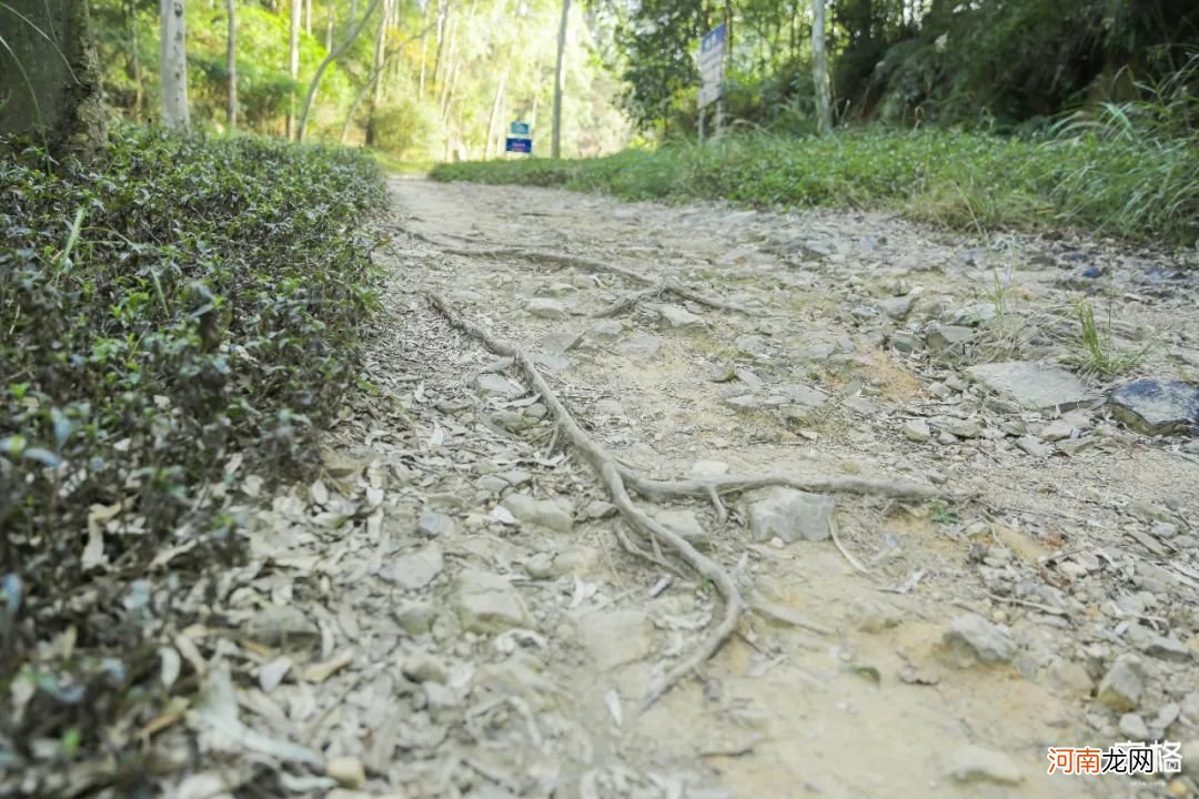 深圳隐藏的登山好去处 深圳适合登山的去处