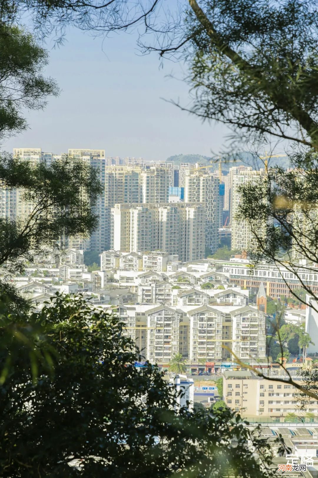 深圳隐藏的登山好去处 深圳适合登山的去处