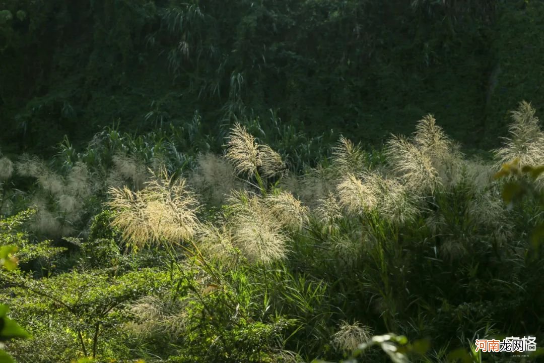 深圳隐藏的登山好去处 深圳适合登山的去处