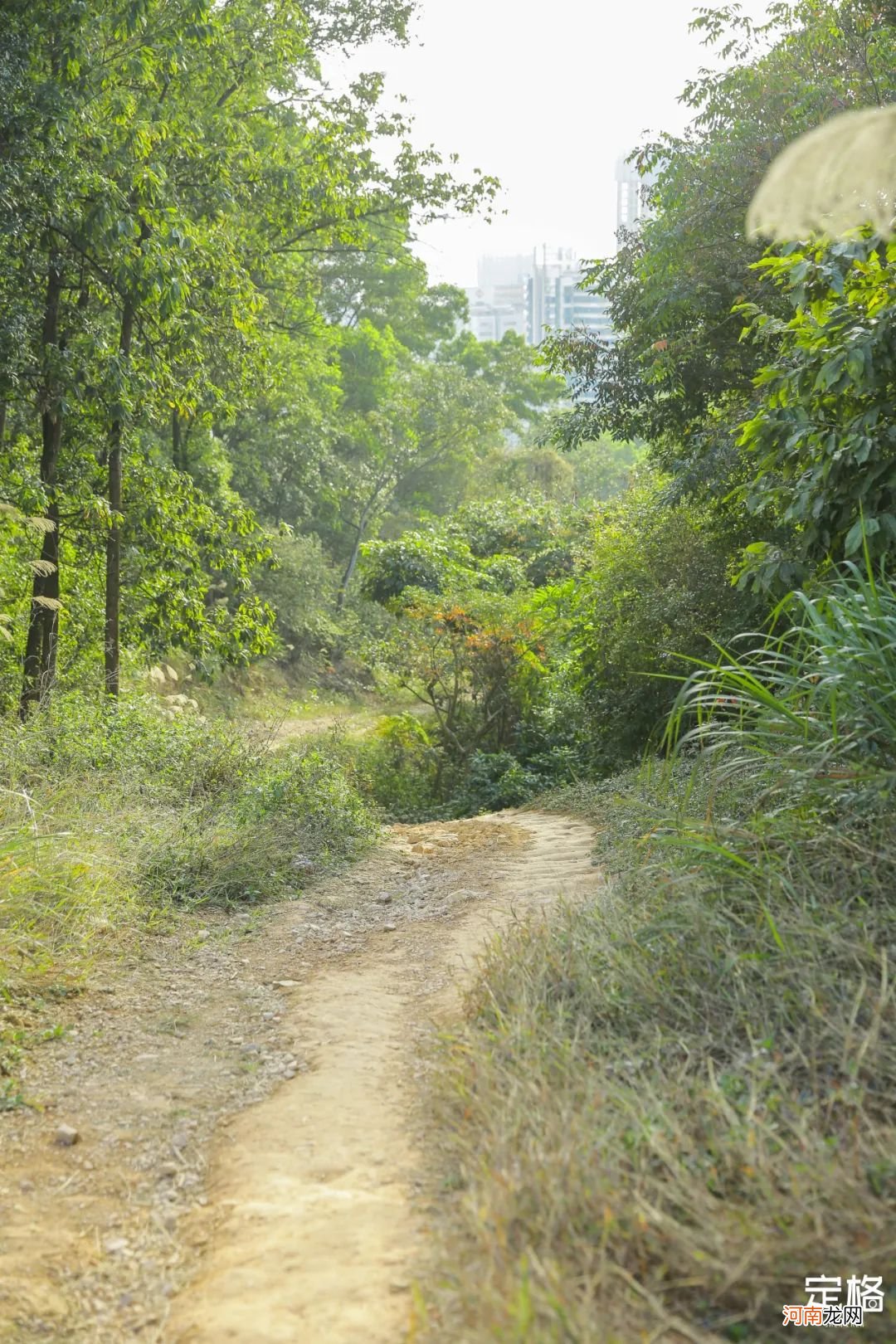 深圳隐藏的登山好去处 深圳适合登山的去处