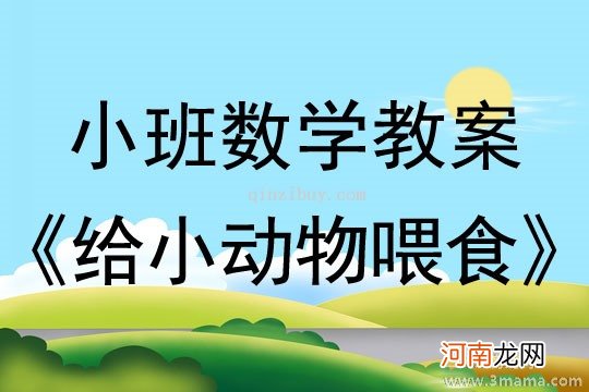 中班数学活动有趣的小东西教案反思