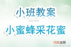 附教学反思 小班主题活动教案：小蜜蜂采花蜜教案