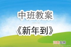 大班主题活动教案：欢欢喜喜过大年教案