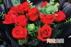不同颜色的玫瑰 不同颜色的玫瑰花