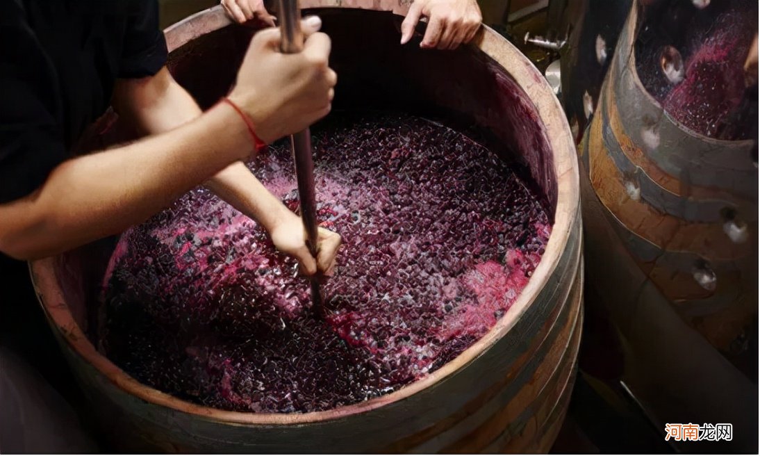 什么是葡萄酒 什么是葡萄酒的平衡