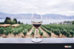 红酒和葡萄酒到底有什么区别 红葡萄酒是红酒还是葡萄酒