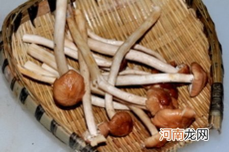 老成都豆瓣凤尾腰花的做法