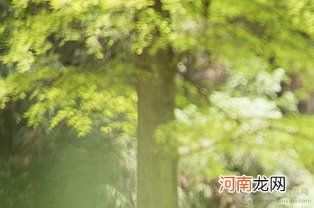 都闪开!这才是最牛逼的性教育宝典,0-14岁孩子家长快收藏