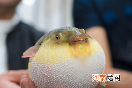 都闪开!这才是最牛逼的性教育宝典,0-14岁孩子家长快收藏