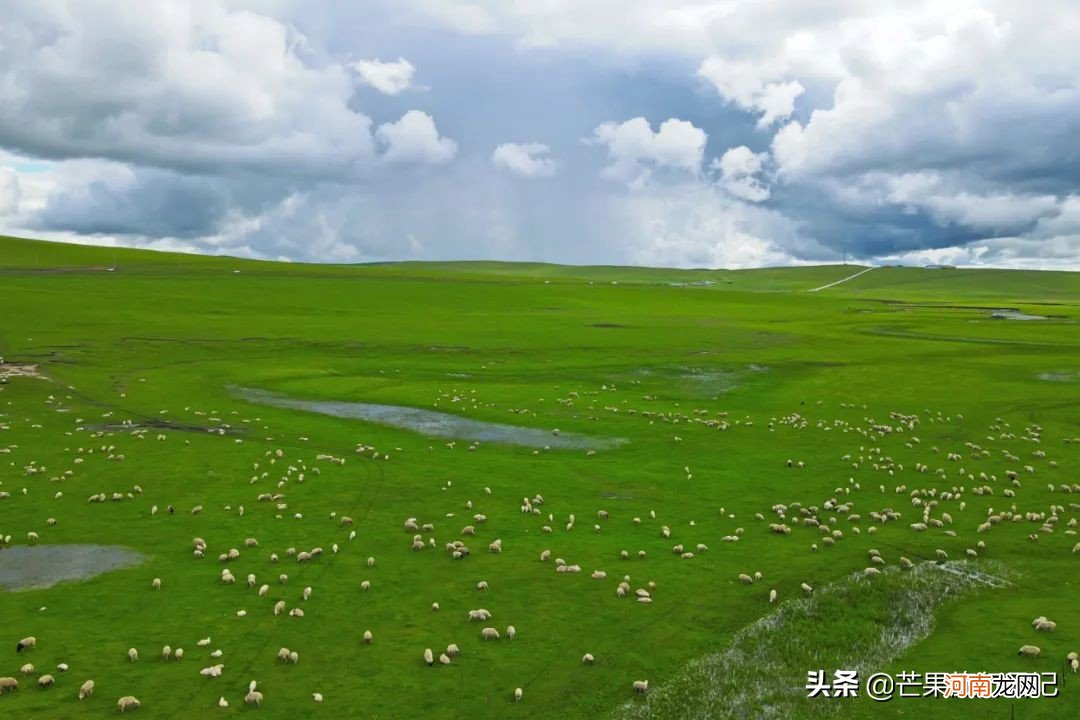 不知道是东北还是西北 西北和东北的区别