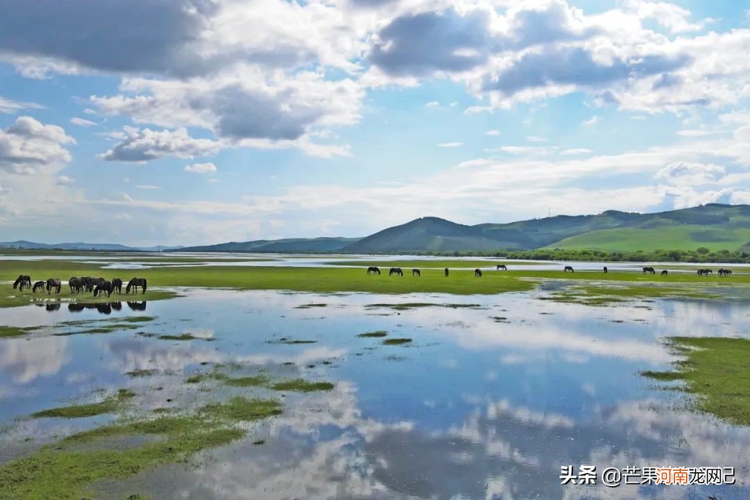 不知道是东北还是西北 西北和东北的区别