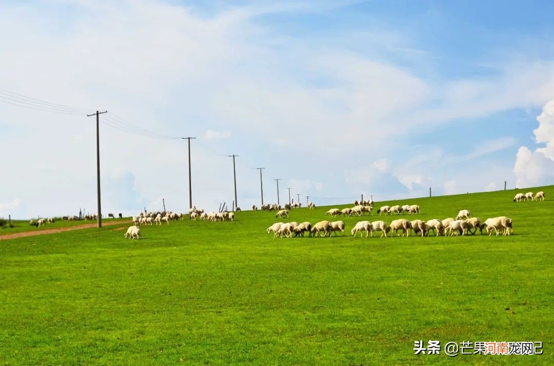 不知道是东北还是西北 西北和东北的区别