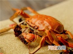吃螃蟹不能吃什么，为你介绍10种不能混搭食用的食材！