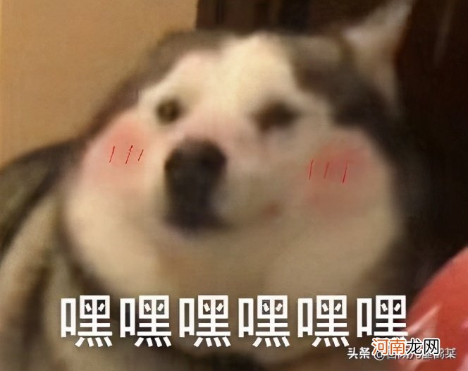 bdjw 是什么意思？bdjw缩写是什么意思？