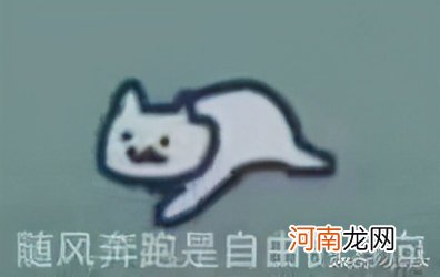 bdjw 是什么意思？bdjw缩写是什么意思？