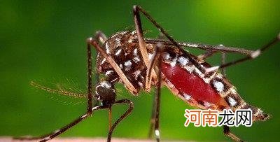 蚊子怕什么颜色？蚊子怕光吗 ？蚊子咬人的影响因素是什么？