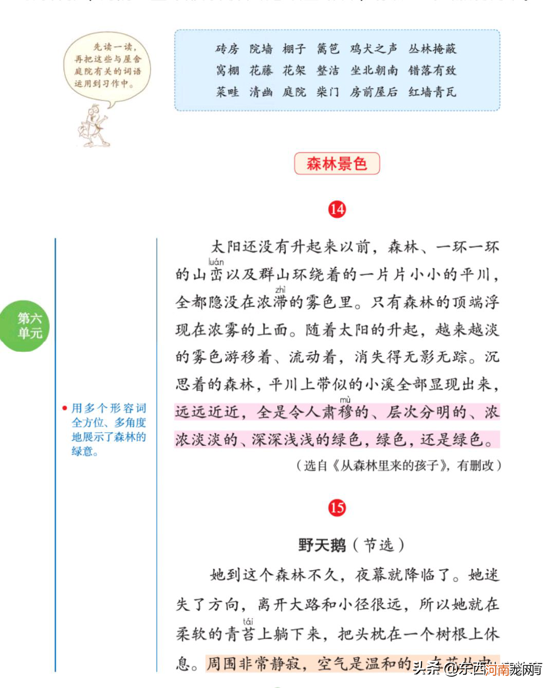 小学语文学说透了什么？