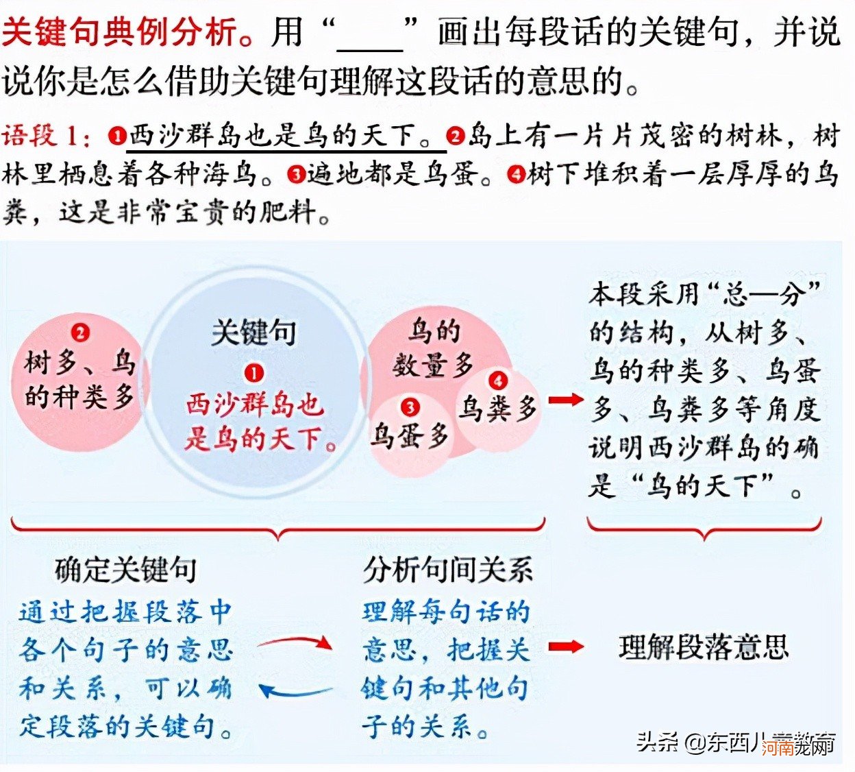 小学语文学说透了什么？