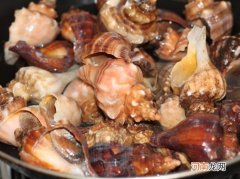 海螺怎么吃 比较常见的海螺有哪些