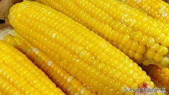 如何保存吃不完的玉米 吃不完的玉米粒？
