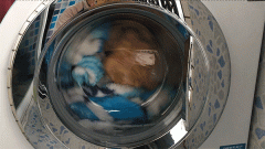 海尔晶彩变频滚筒洗衣机评价