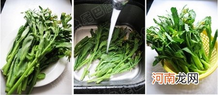 白灼油菜芯的做法