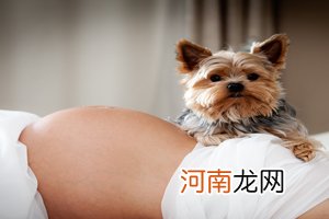 怀孕14周胎儿图男孩