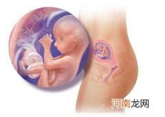 胎儿14周男孩彩超图片