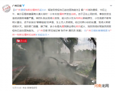 广州一特斯拉撞树后起火自燃 烧得只剩个壳儿了