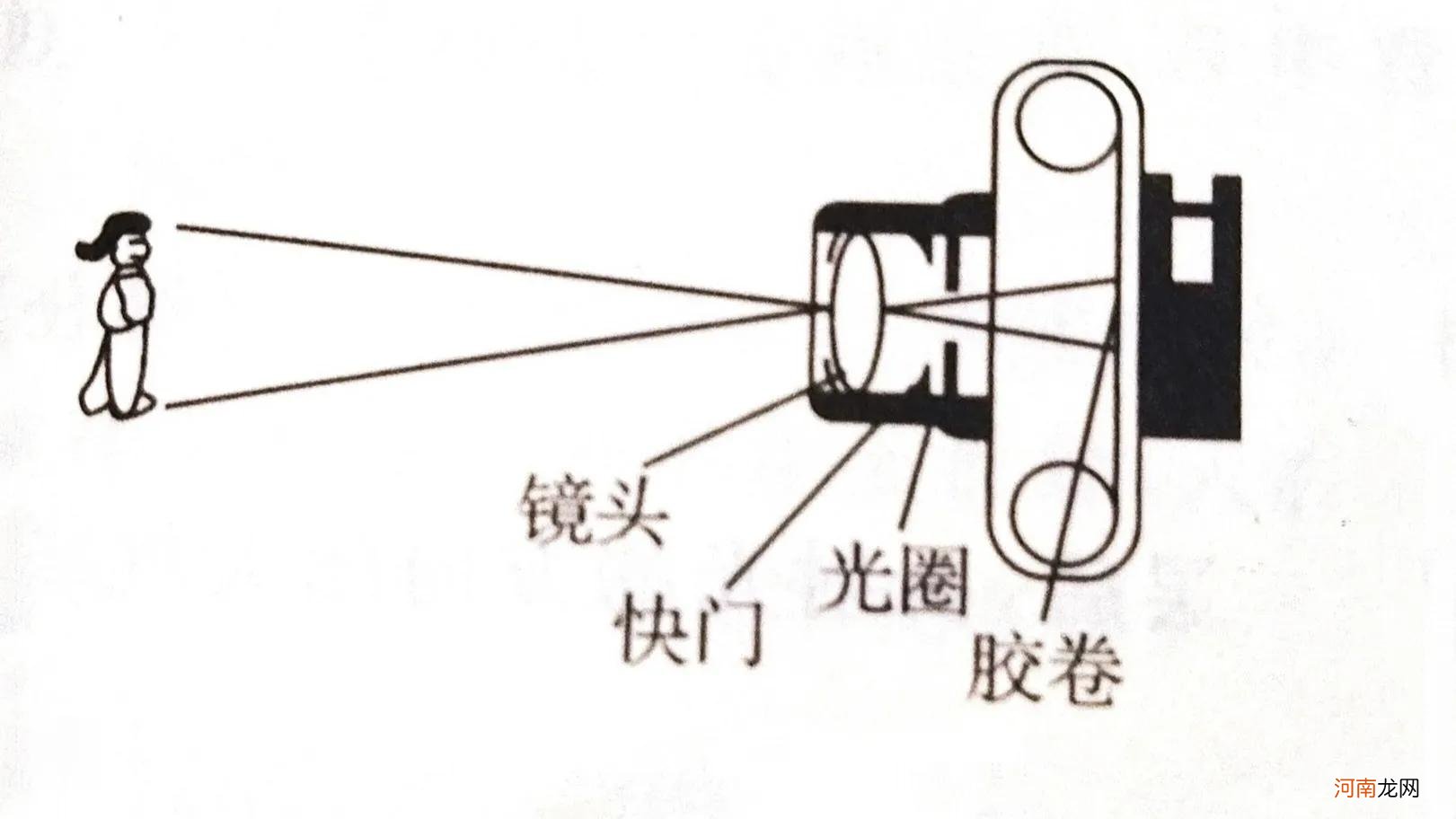 凸透镜成像规律的应用 凸透镜成像规律及应用