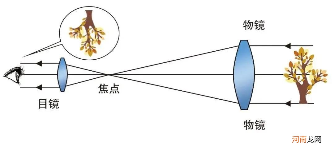 凸透镜成像规律的应用 凸透镜成像规律及应用