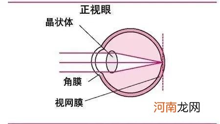 凸透镜成像规律的应用 凸透镜成像规律及应用