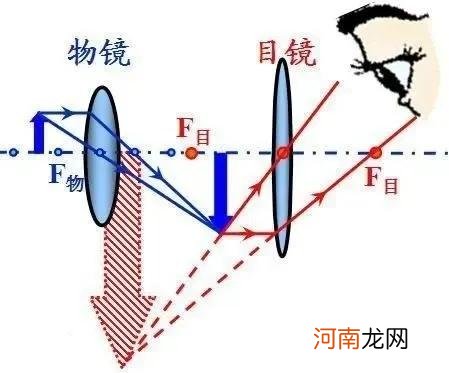 凸透镜成像规律的应用 凸透镜成像规律及应用