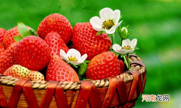 吃草莓减肥还是发胖？吃草莓会发胖吗？