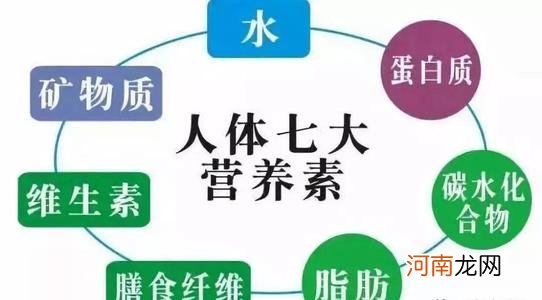 生姜吃多了会伤肝 生姜吃多了会伤肝脏吗