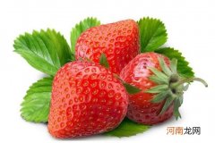 草莓的功效和作用 草莓的营养价值