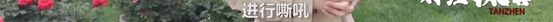 央视曝“股市操纵大案”细节！短短几分钟 “股市黑嘴”净赚3000万元